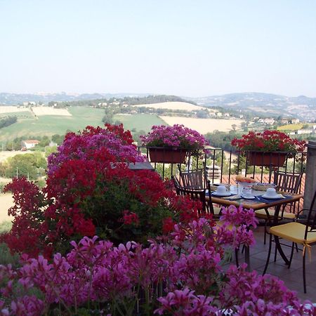 La Terrazza Fio...Rita Panzió Ripa Kültér fotó