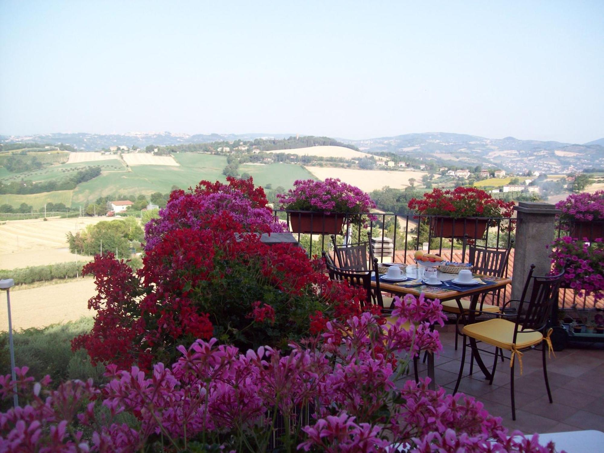 La Terrazza Fio...Rita Panzió Ripa Kültér fotó